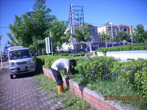 署立醫院花圃整理除草